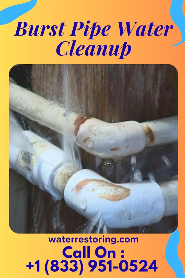 Burst Pipe Water Cleanup in Grampian, PA