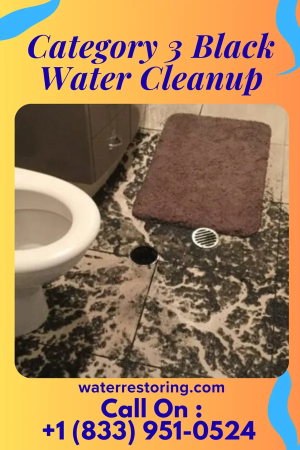 Category 3 Black Water Cleanup in Grampian, PA