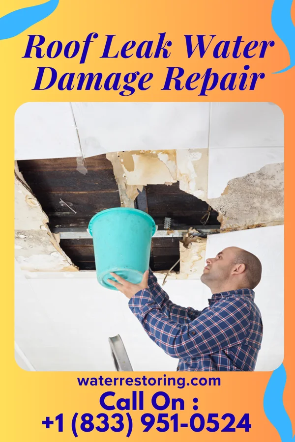 Roof Leak Water Damage Repair in Grampian, PA