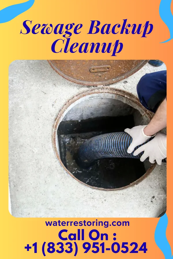Sewage Backup Cleanup in Grampian, PA