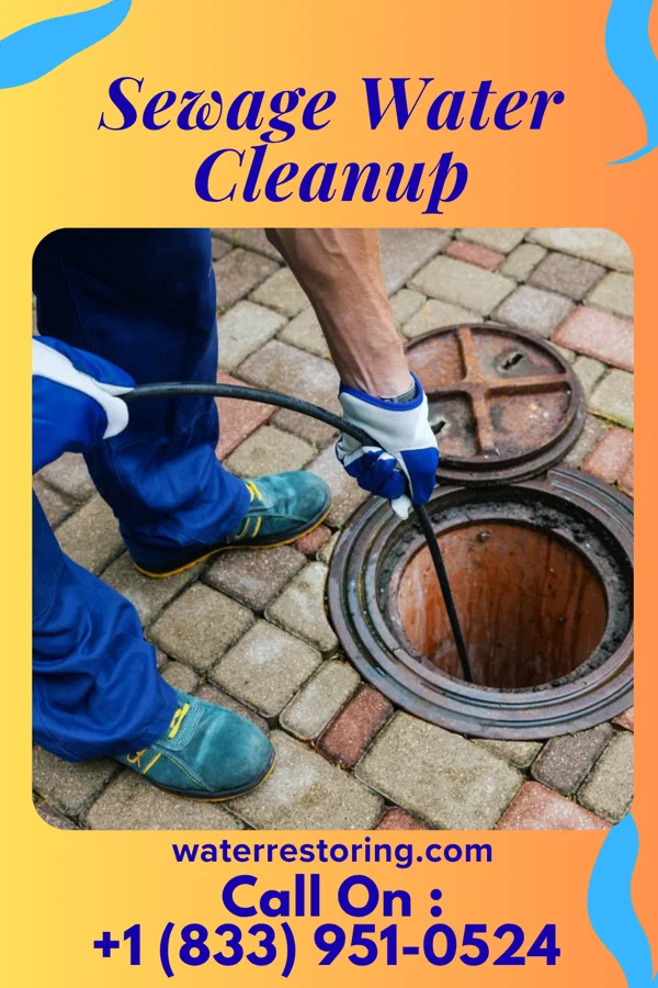 Sewage Water Cleanup in Grampian, PA