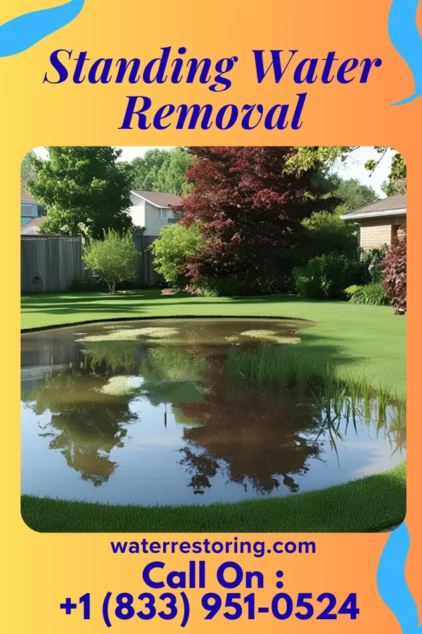 Standing Water Removal in Grampian, PA
